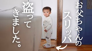 【離乳食】梨のおかわりを狙う顔がガチ…大人が食べてるお皿からミリも視線を動かさない1歳児