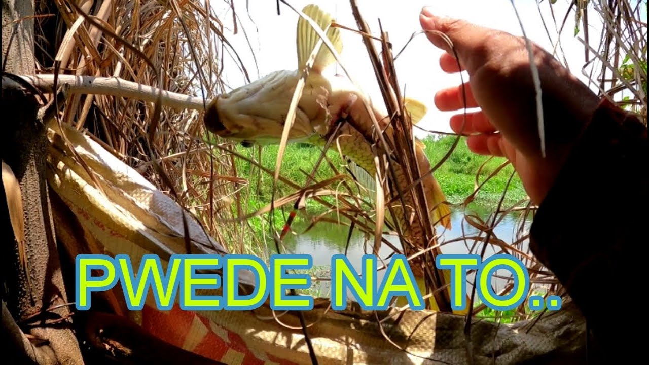 OK NA DIN PWEDE NA /Airgun Fishing /Fishgunerong Madiskarte