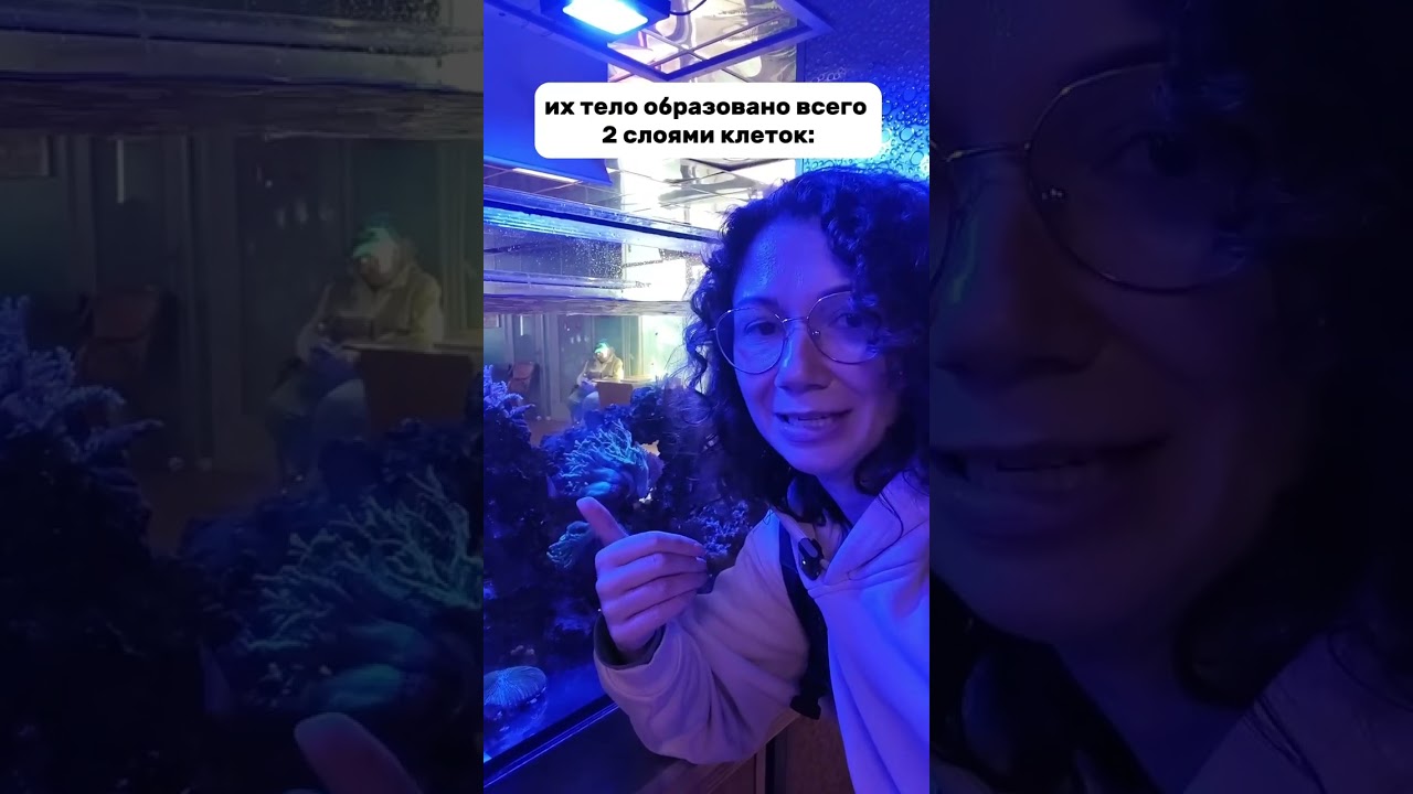 Как растут коралловые полипы? 