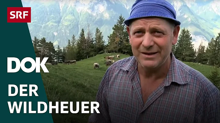 Bergbauer Sepp Gisler   Das Leben des Wildheuers a...