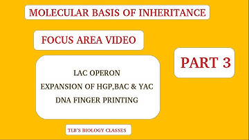 Molecular Basis of Inheritance| Focus area video| Part 3|Zoology| Kerala Higher Secondary| Biju TL