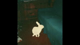 [FREE] ISAIAH RASHAD X SMINO TYPE BEAT "LITTLE BUNNY"