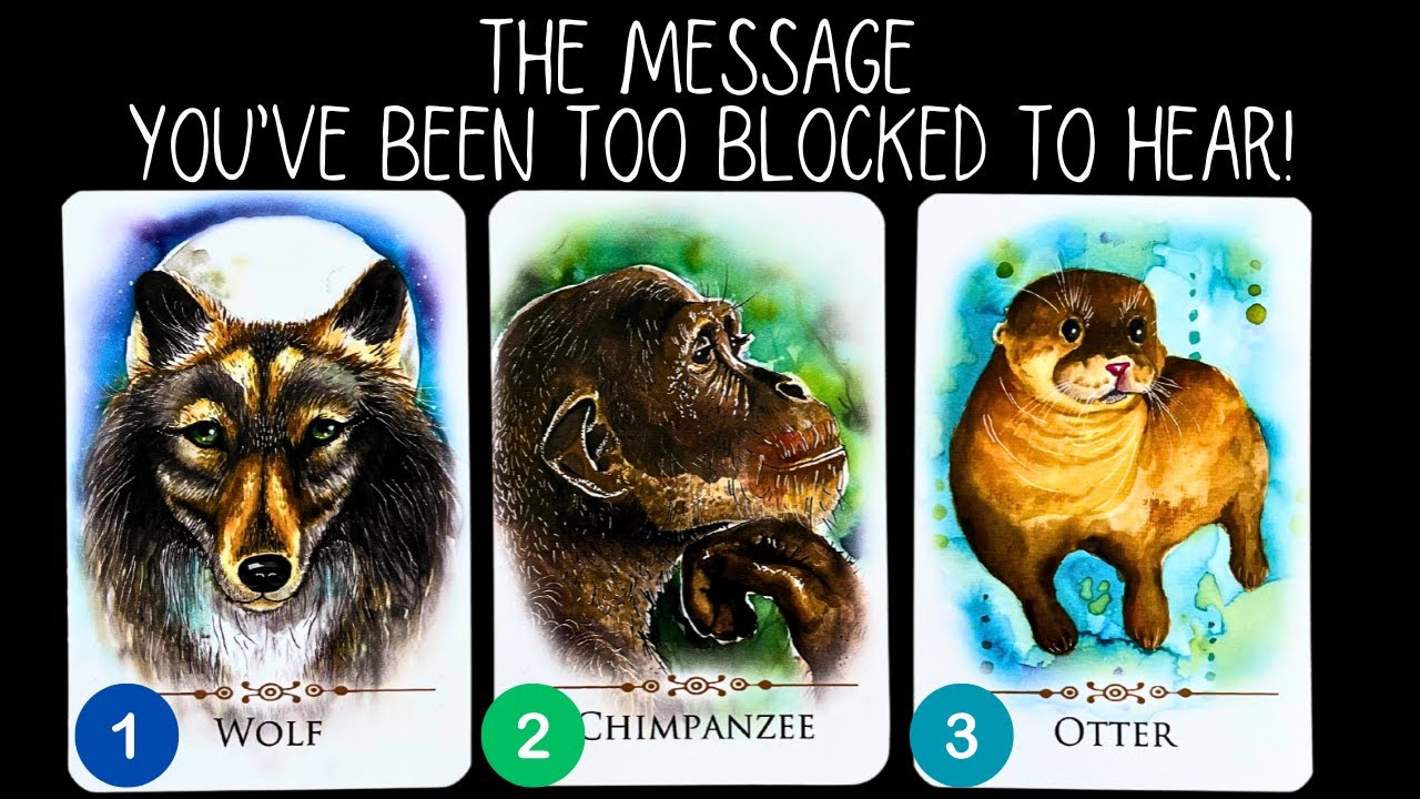 The Message You've Been Too Blocked To Hear? 🦻pick a card 🃏tarot card reading