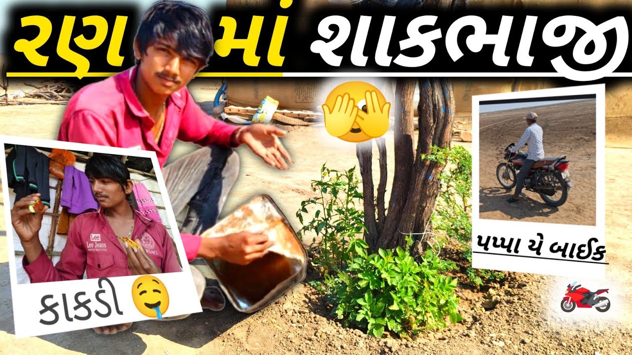 ખારાપાટમાં શાકભાજી ઊગી 🫣 