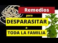 REMEDIOS CASEROS PARA DESPARASITAR A TODA LA FAMILIA