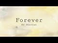 Ed Sheeran - Forever (unreleased) lyrics