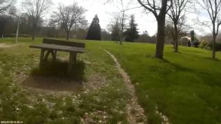 Crash Dans Larbre