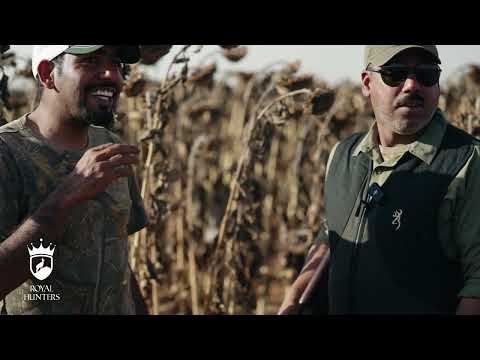 رحلة صيد الريش في جنوب افريقيا 2024 برعاية رويال هنترز 