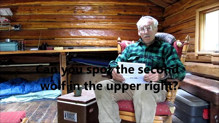 Martin's Old Off Grid Log Cabin #22 The Wolves Set Up An Ambush Story Narration
