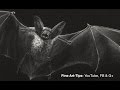 How to Draw a Vampire Bat - Prepare for Halloween! How to Draw a Vampire Bat - Prepare for Halloween!