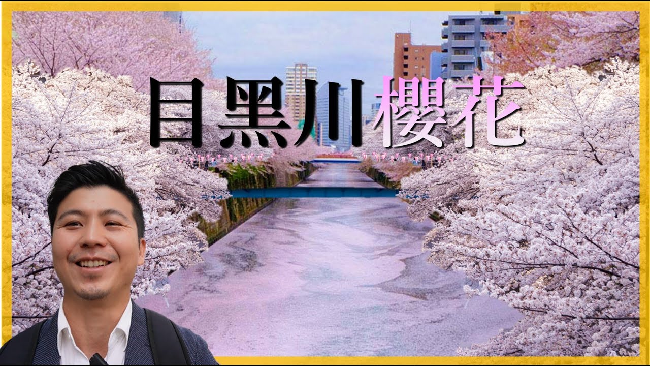 【日本系列14】目黑川櫻花，東京都內三大賞櫻名所之一。全長8公里800棵的染井吉野櫻，走到腿好痠。