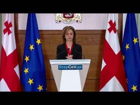 საქართველომ ჩინურ კომპანიას, რომელსაც სწრაფი ტესტები უნდა შემოეტანა, ხელშეკრულება გაუუქმა