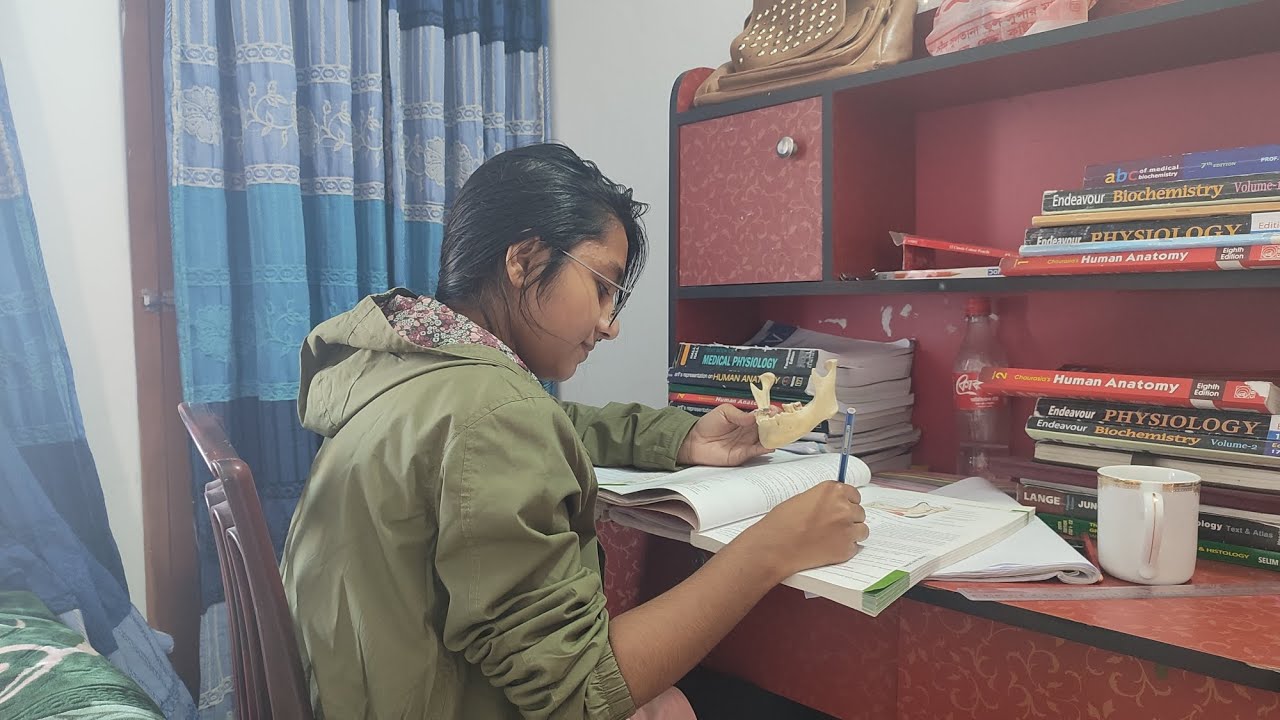 day-before-anatomy-exam-study