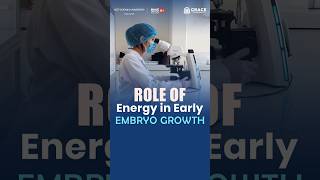 Why Energy is Essential for Embryo Development | Embryology Explained