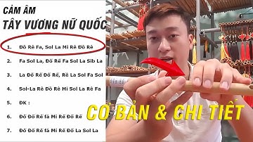 Thổi Sáo Tây Vương Nữ Quốc Hướng Dẫn |  Bài 7: Học Thổi Sáo Nữ Nhi Tình Chi Tiết | SÁO TRÚC HỌ ĐINH