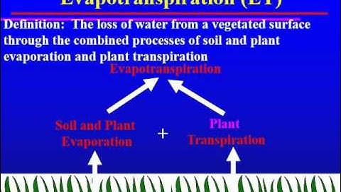Citrus Irrigation Scheduling