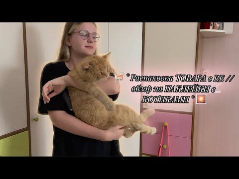 🐈 ° РАСПАКОВКА товара С ВБ // обзор НА наклейки с КОТИКАМИ ° 🎇