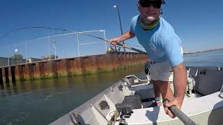 Live lining along the entire north side of Indian River Inlet, Delaware.