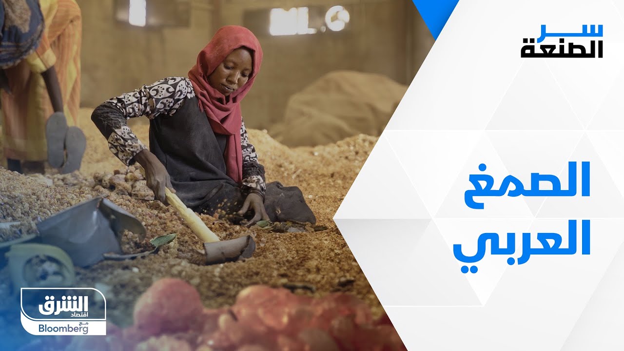 الصمغ العربي في السودان - سر الصنعة