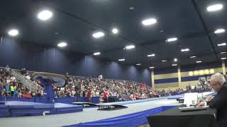 Colin Van Wicklen - Vault - 2020 Winter Cup Finals