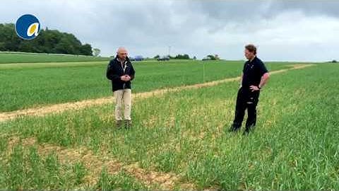 Project Lamport 2020 - Soil health benefits and the impact of cultivating with metal