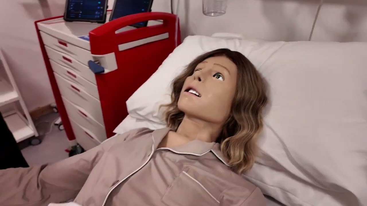 A Short Introduction into Lisa's Features | Sim & Skills