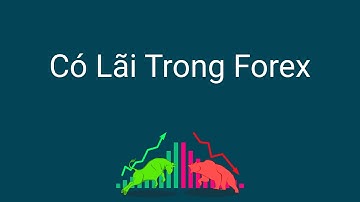 Đầu tư forex | Có bao nhiêu người có lãi trong thị trường forex