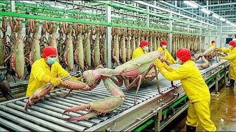 Inside the Idolomantis Factory: How Rare Mantises Turn Into Luxury Perfume (Full Process)