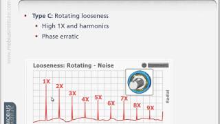 Vibration Analysis Know-How: Diagnosing Looseness screenshot 2