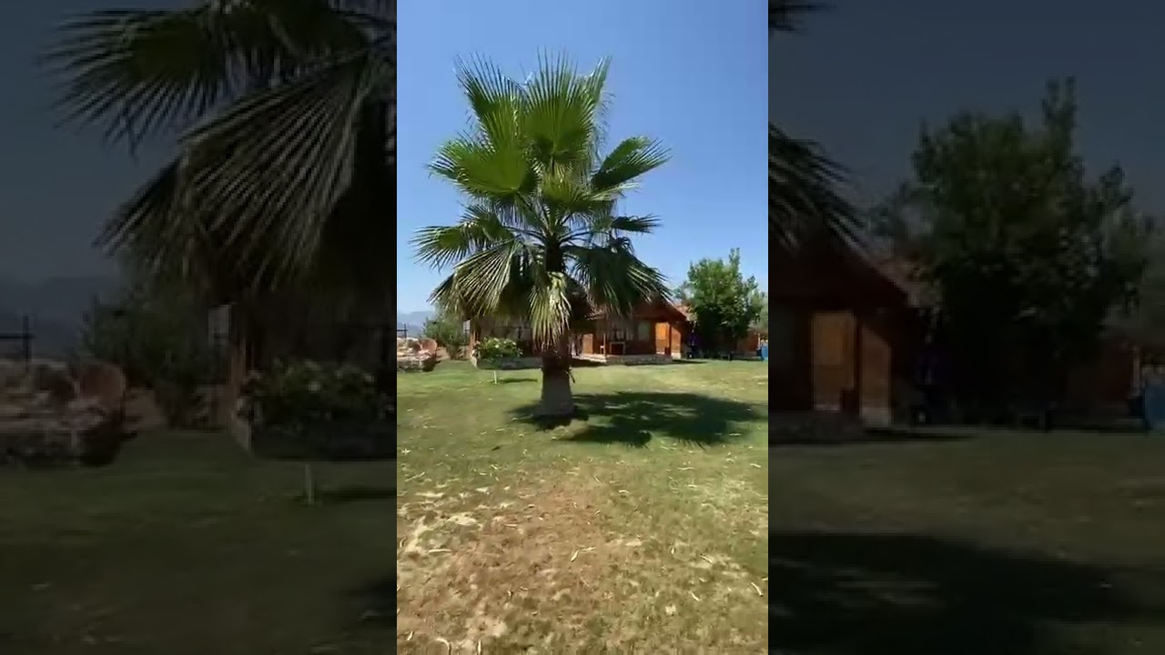 Demre Bungalow & Apart & Camping