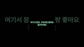 기초문법 to부정사 동명사2. remember 뒤에 to와 ing, 미래냐? 과거냐?가 완전히 달라집니다  #영어숏츠  #영어독학  #영중영  #실전영어  #매일영어