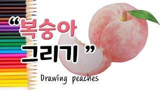 털이 보송보송한 '백도 복숭아'를 그리는 방법 ㅣHow to draw peaches step by step. screenshot 5