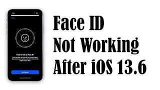 iPhone XR Face ID Stopped Working AFter iOS 13.6