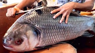 Incredible Giant Catla Fish Cutting skills | Fish Cutting In Bangladesh Fish Market