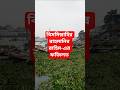 বিসমিল্লাহ বলার ফজিলত | জীবনে একবার হলেও শুনুন #islamicshorts