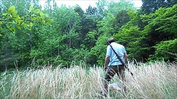 Zombie Shooters United Melee Target Demonstration