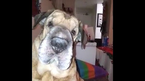Tucker tries Cracker Jacks