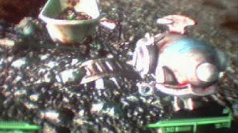 fall out 3 secret mini nuke in bath