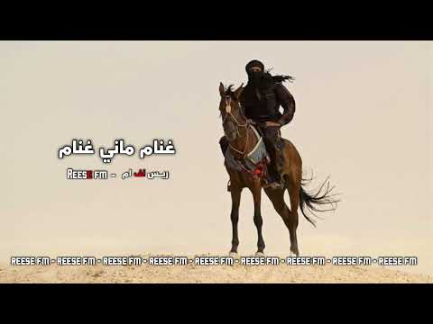 جوبي عراقي مطلوب غنام ماني عنام نسخه مميزه مطلوب اكثر شيء 