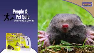 Bonide MOLEMAX Granules
