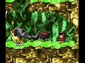 【DKC 2 Hack】 6-1 『エニグムマオチュ』