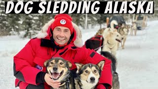 Dog Mushing In Fairbanks, Alaska Iditarod