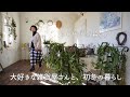 【八ヶ岳🍃138話】20年来通う大好きな雑貨屋さん「HERB STAND」/栗原はるみレシピ・簡単バナナブレッド/白菜が美味しい季節/初冬の牧歌風景/猫たち/60代/一人暮らし/八ヶ岳南麓/田舎暮らし