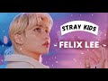 STRAY KIDS | FELIX LEE | ART 💞 | DORSALES|