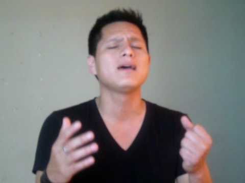 Momentos - Noel Schajris cover by Ronald Benavides