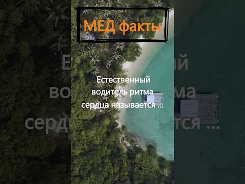 Как называется естественный