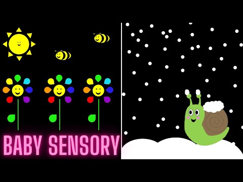 Baby Sensory Video