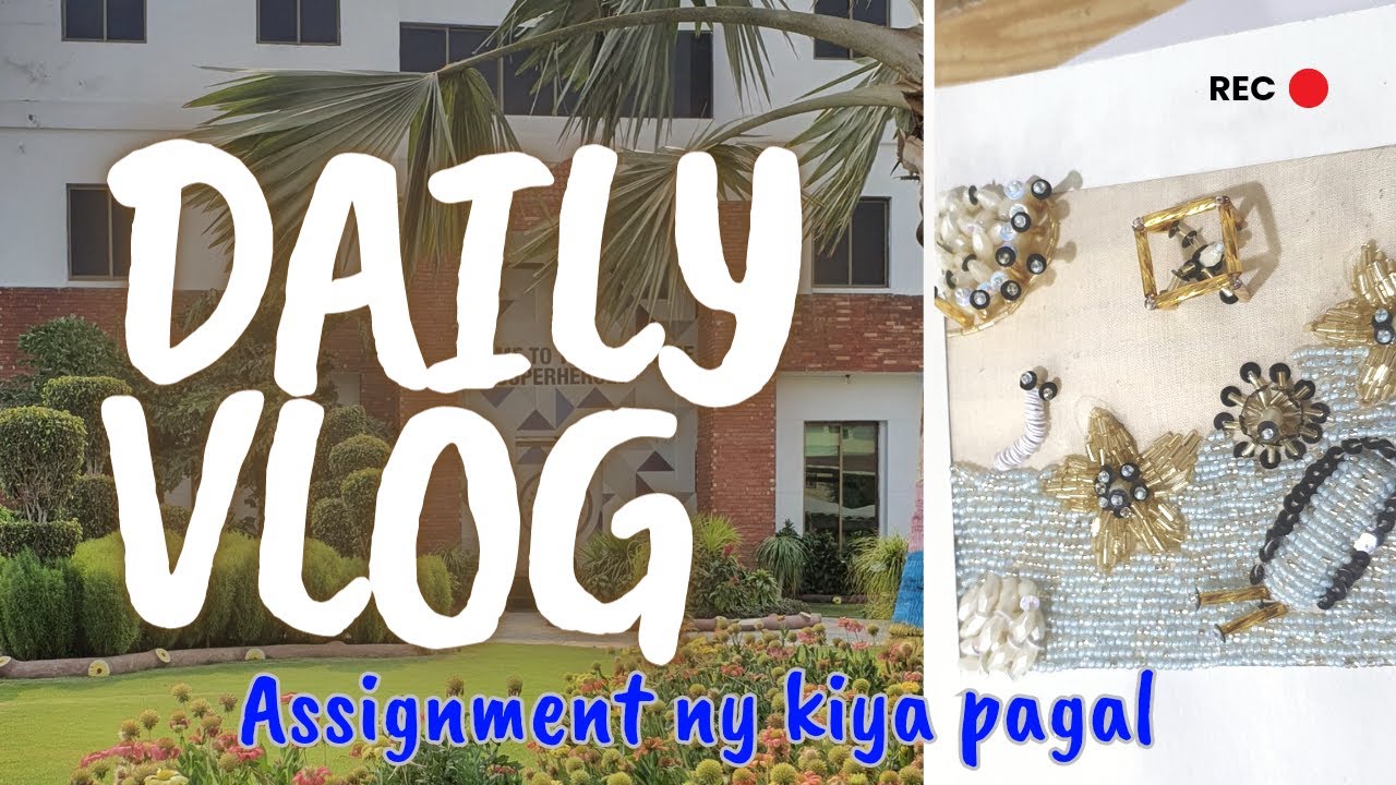 Daily vlog assignment ki zlalat | gana sunaya many class ma | textile design | navlog