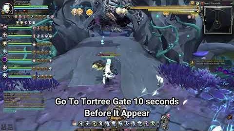 Forest Dragon Nest HardCore Tortree Guide | Dragon Nest SEA