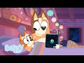 居心地の良い家族の時間 | ブルーイ - 日本公式チャンネル - Bluey